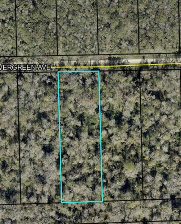 En Venta: $15,000 (1.65 acres)