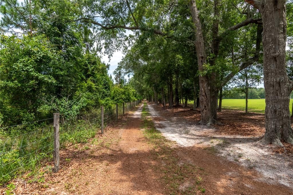 For Sale: $1,199,000 (4 beds, 3 baths, 2700 Square Feet)