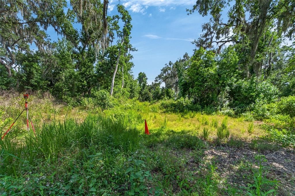 For Sale: $375,000 (7.56 acres)