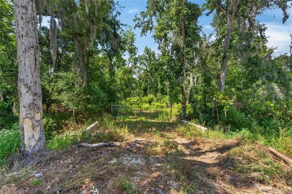 For Sale: $375,000 (7.56 acres)