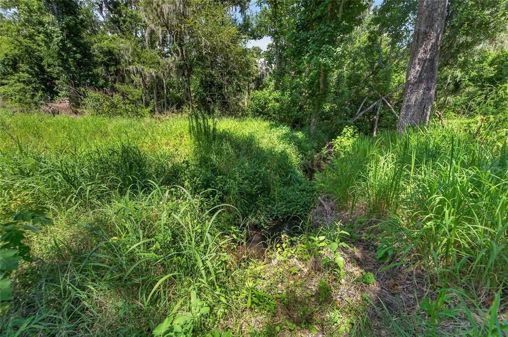 For Sale: $375,000 (7.56 acres)