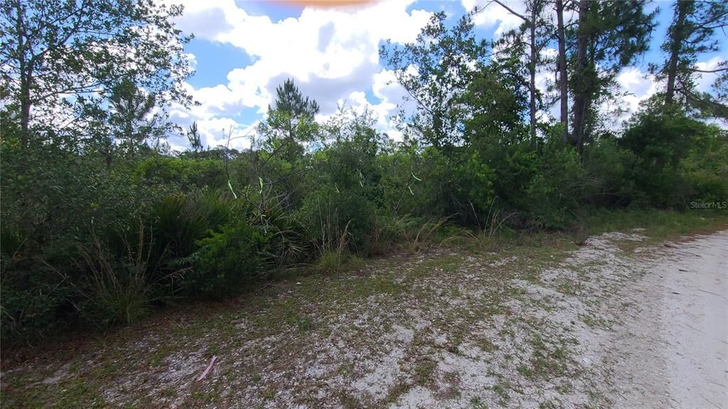 For Sale: $68,000 (3.13 acres)