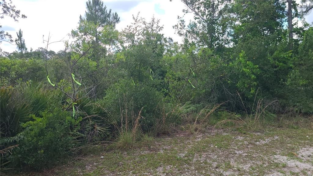 For Sale: $68,000 (3.13 acres)