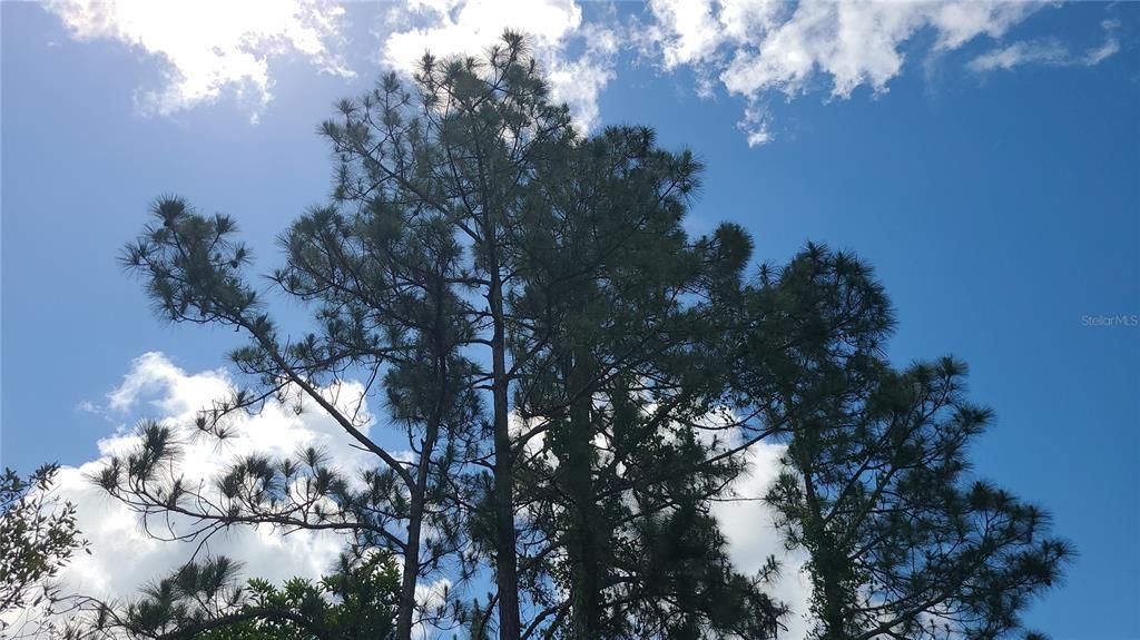 For Sale: $68,000 (3.13 acres)