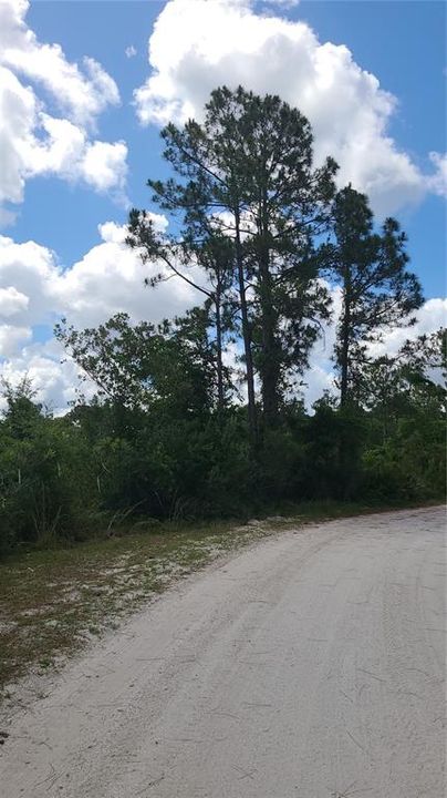 For Sale: $68,000 (3.13 acres)