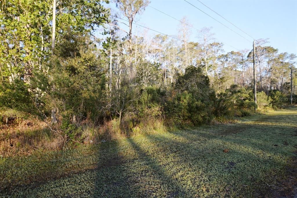 For Sale: $1,900,000 (8.80 acres)