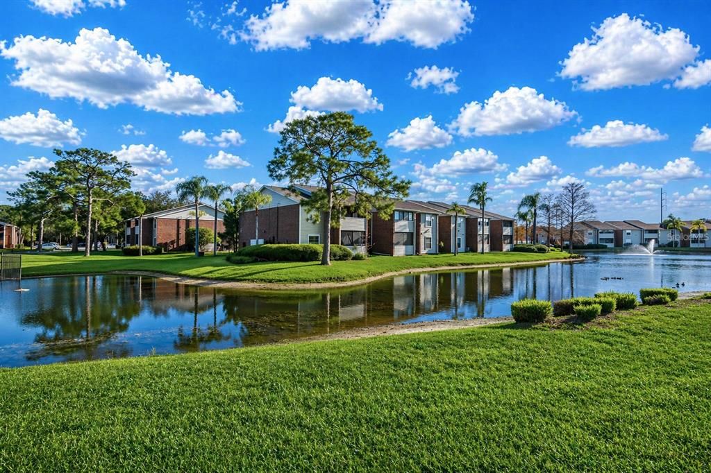 Active With Contract: $1,300 (1 beds, 1 baths, 525 Square Feet)