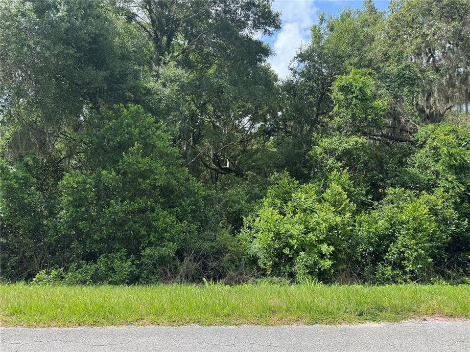 For Sale: $99,900 (0.86 acres)