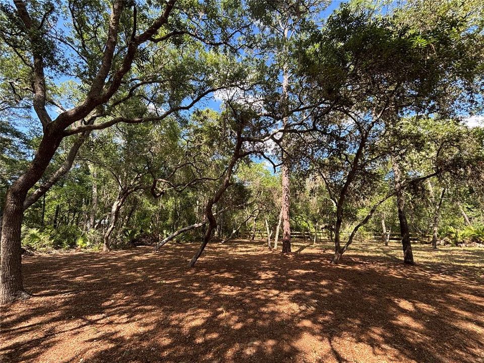 Active With Contract: $94,000 (2 beds, 1 baths, 552 Square Feet)