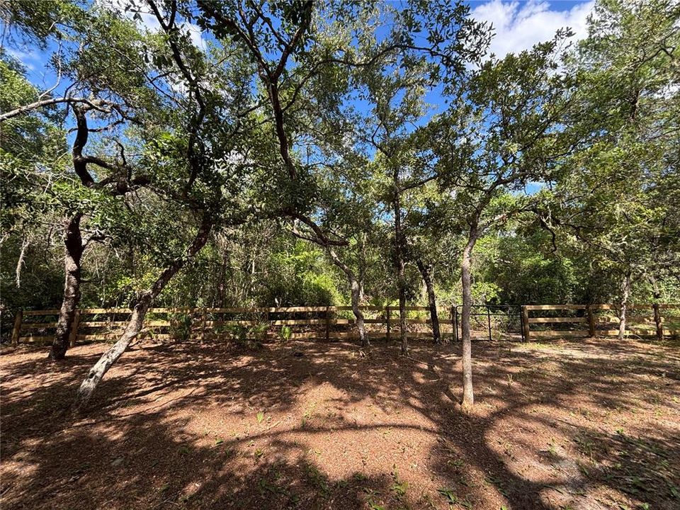 Active With Contract: $94,000 (2 beds, 1 baths, 552 Square Feet)