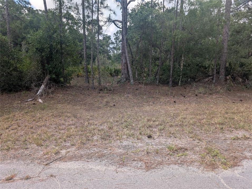 待售: $15,000 (0.50 acres)