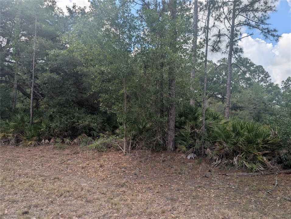 待售: $15,000 (0.50 acres)