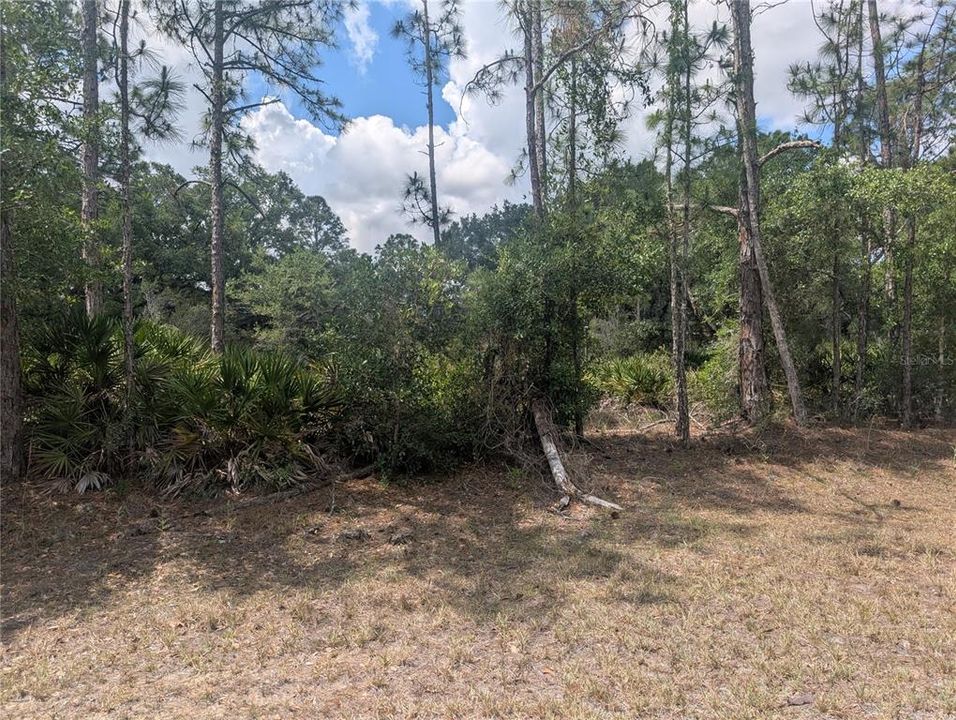 待售: $15,000 (0.50 acres)