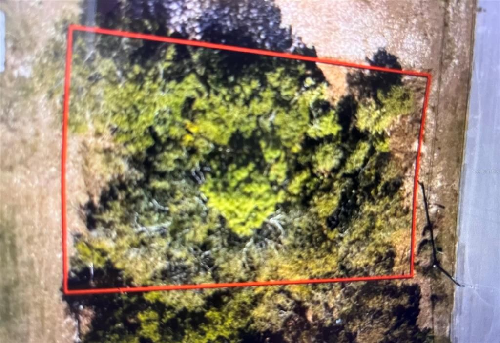 Active With Contract: $45,000 (0.16 acres)