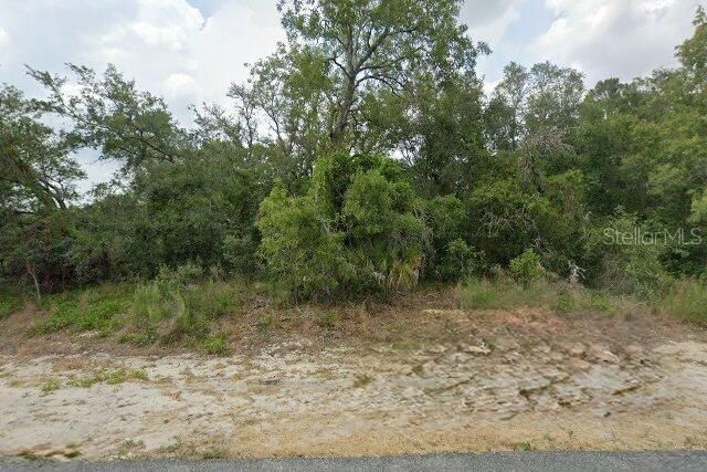 For Sale: $85,000 (0.33 acres)