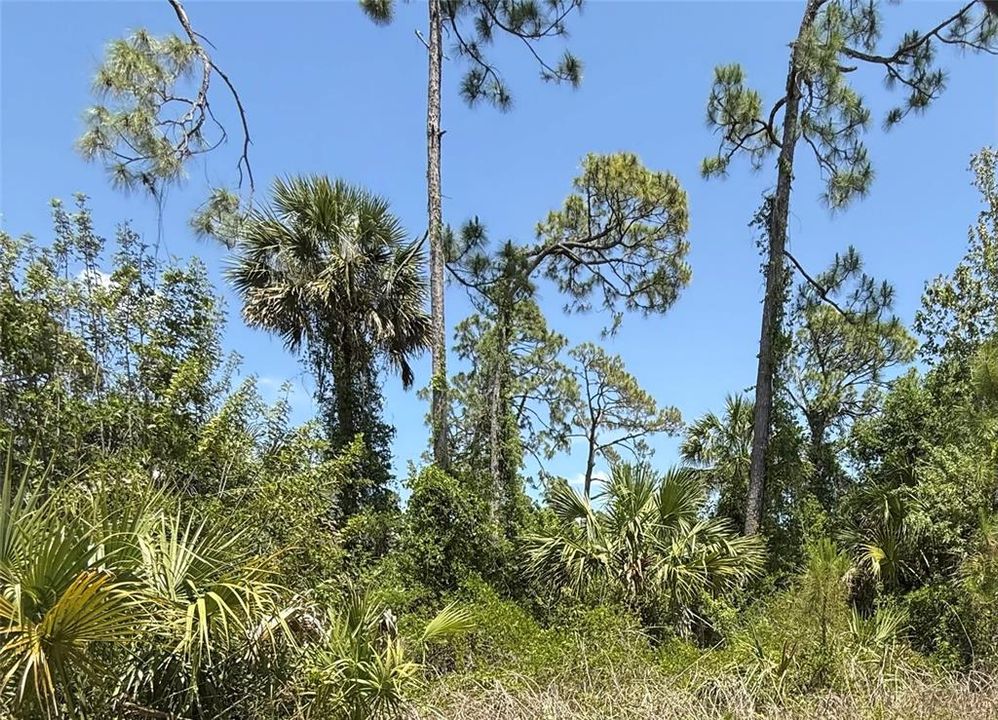 待售: $15,000 (0.23 acres)