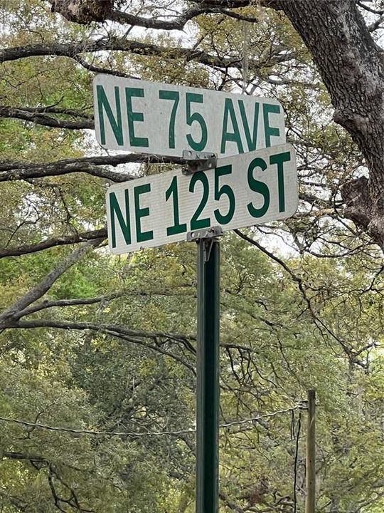 На продажу: $25,000 (1.25 acres)