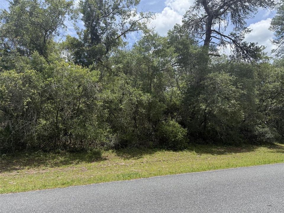 合同活跃: $39,000 (0.55 acres)