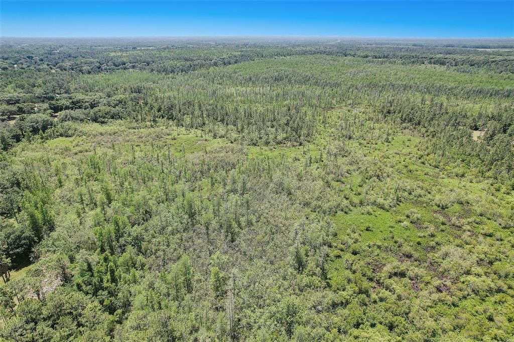 For Sale: $475,000 (18.14 acres)