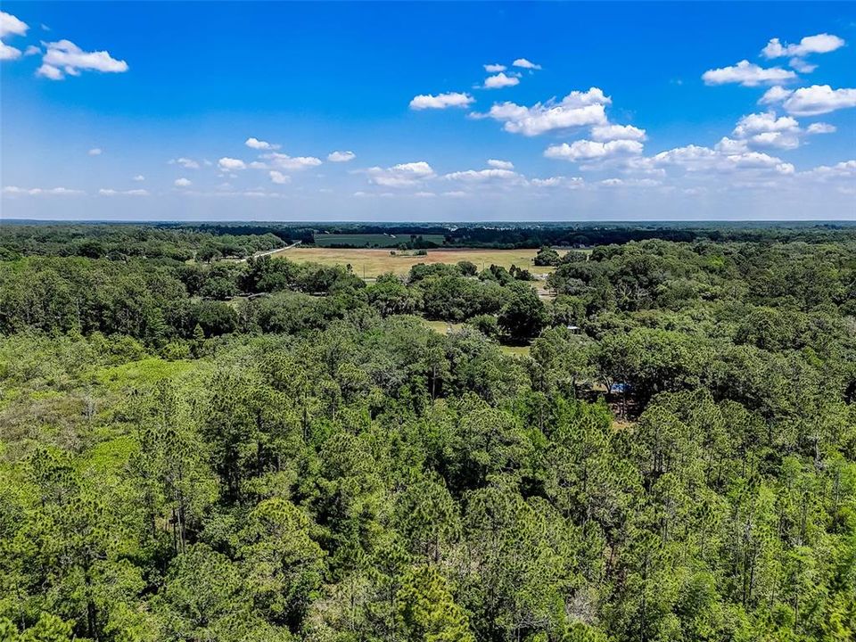 For Sale: $475,000 (18.14 acres)