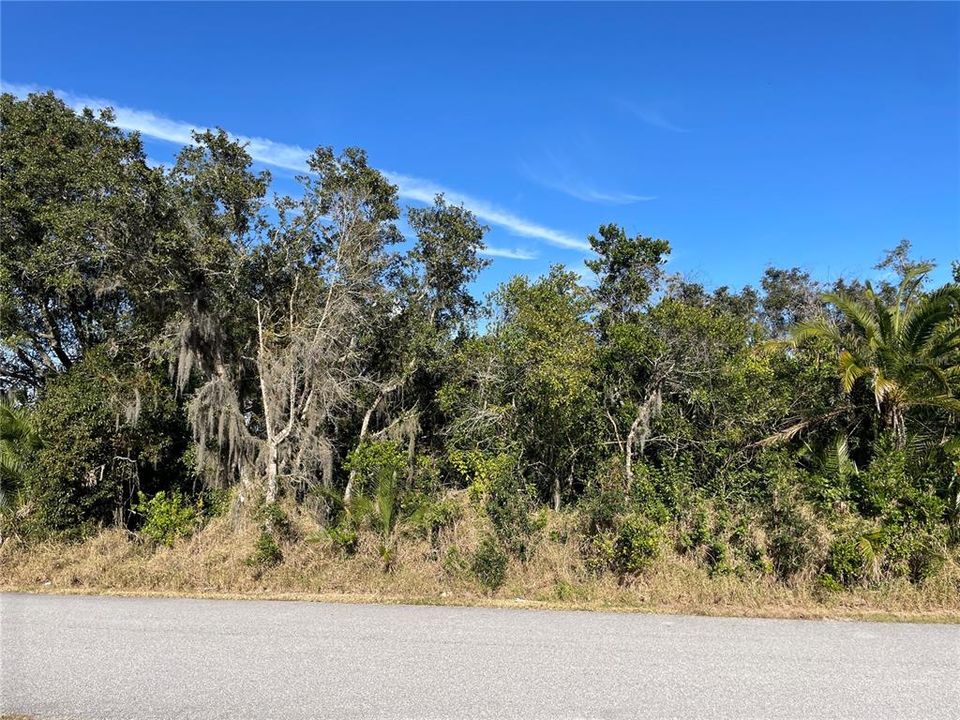 For Sale: $45,000 (0.40 acres)