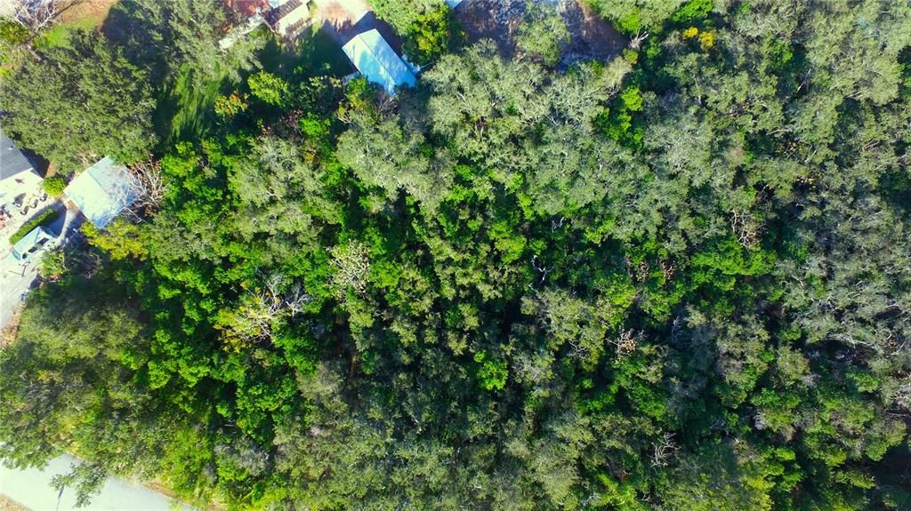 For Sale: $45,000 (0.40 acres)