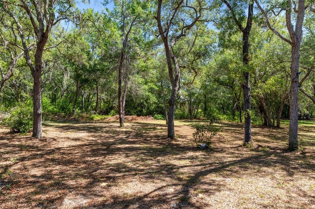 En Venta: $339,900 (3 camas, 2 baños, 1541 Pies cuadrados)