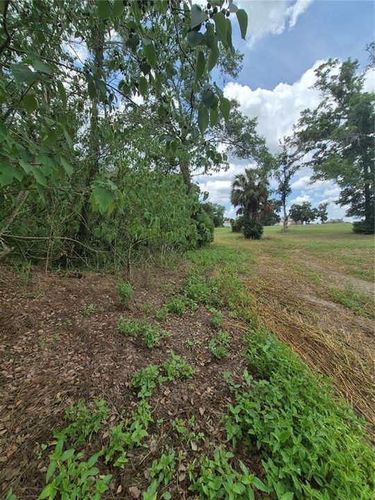 待售: $115,000 (1.30 acres)