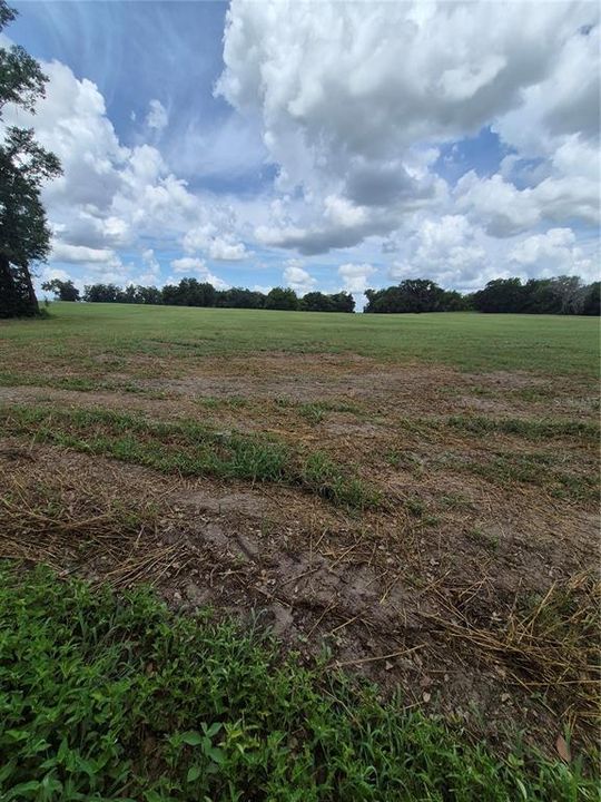 待售: $115,000 (1.30 acres)