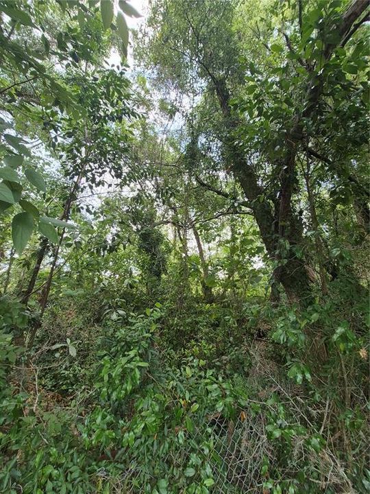 待售: $115,000 (1.30 acres)