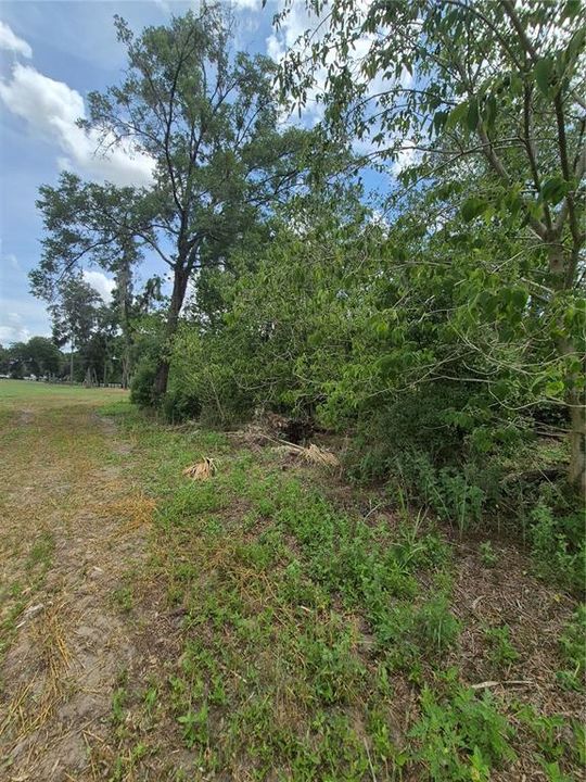 待售: $115,000 (1.30 acres)