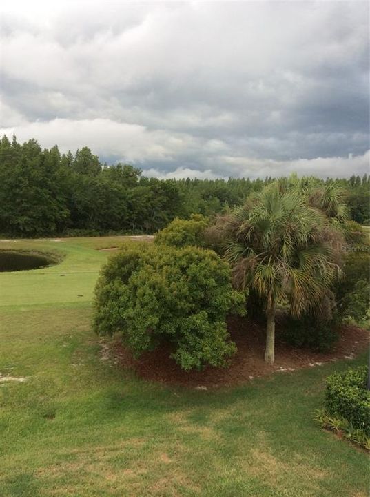 For Rent: $3,100 (4 beds, 3 baths, 3231 Square Feet)