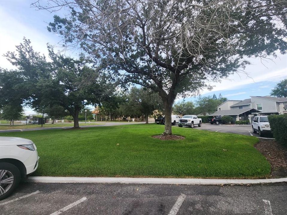 For Sale: $235,000 (2 beds, 2 baths, 1335 Square Feet)