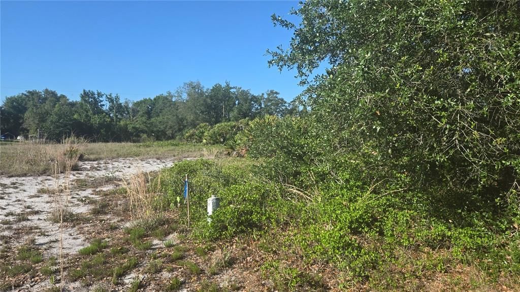 For Sale: $25,900 (0.23 acres)