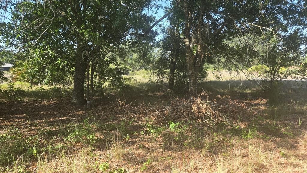 For Sale: $25,900 (0.23 acres)