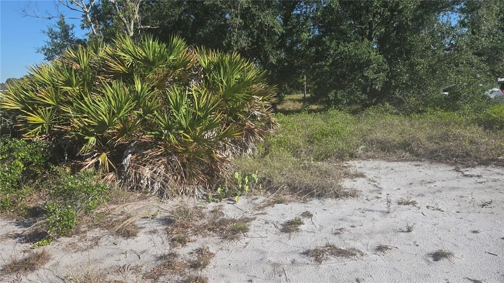 For Sale: $25,900 (0.23 acres)