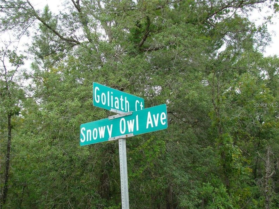 На продажу: $32,500 (0.46 acres)
