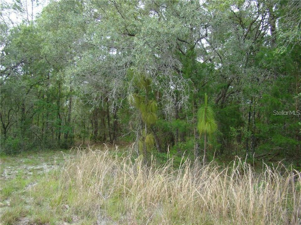 На продажу: $32,500 (0.46 acres)