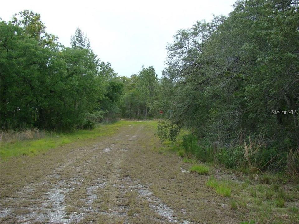 На продажу: $32,500 (0.46 acres)
