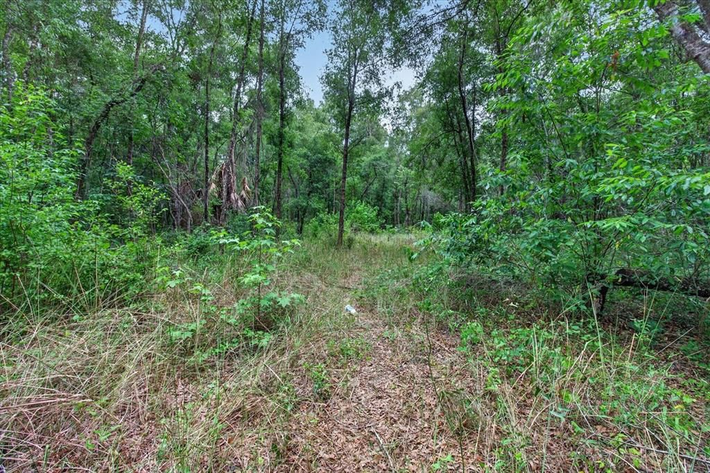 待售: $1,000,000 (7.00 acres)