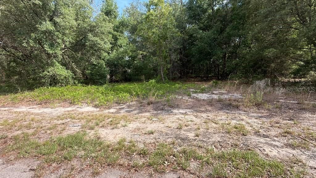 На продажу: $19,900 (0.23 acres)