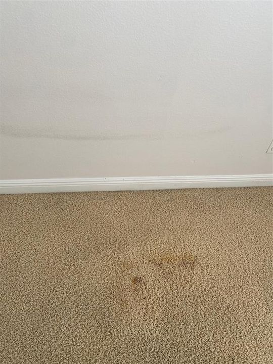 В аренду: $4,200 (4 спален, 2 ванн, 2892 Квадратных фут)