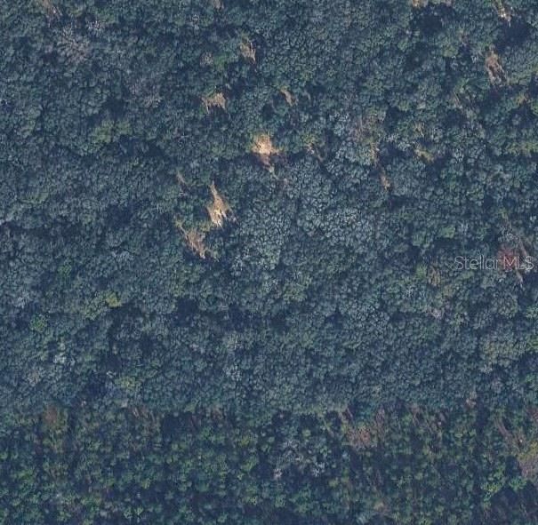На продажу: $15,000 (0.23 acres)
