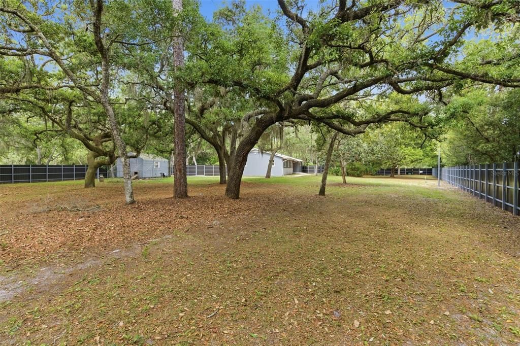 For Rent: $2,950 (3 beds, 2 baths, 1204 Square Feet)