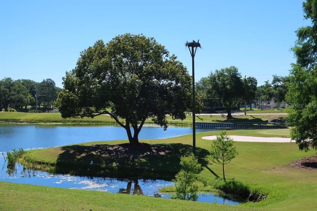 For Sale: $123,000 (2 beds, 1 baths, 806 Square Feet)