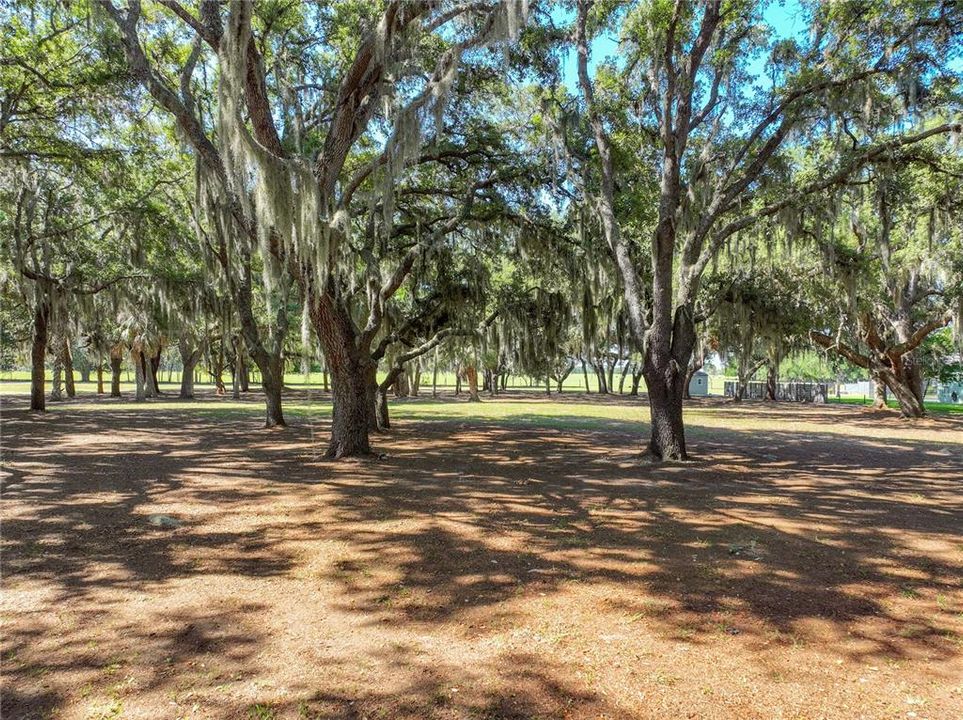 En Venta: $299,000 (2.69 acres)
