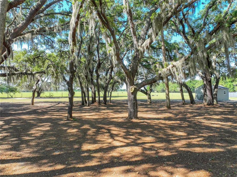 En Venta: $299,000 (2.69 acres)