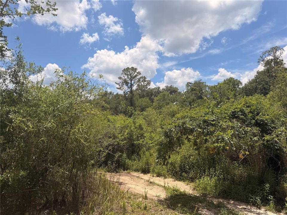 En Venta: $31,999 (1.16 acres)