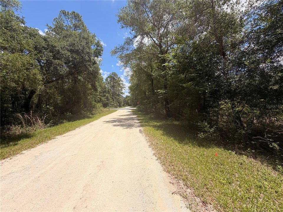 En Venta: $31,999 (1.16 acres)