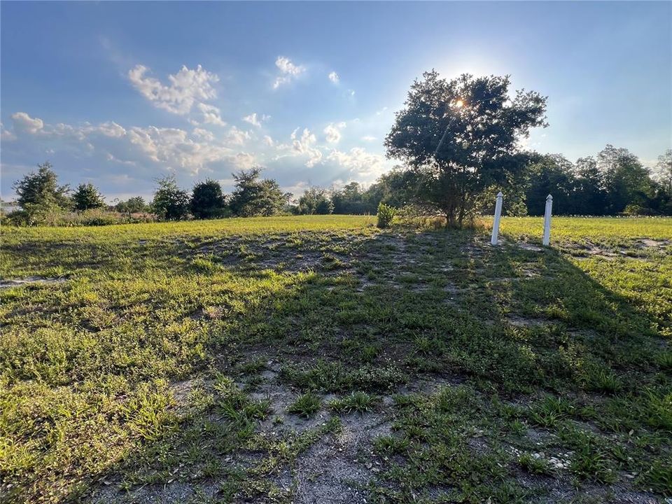 For Sale: $183,500 (0.92 acres)